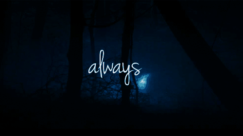 HP&莉莉斯内普 Always