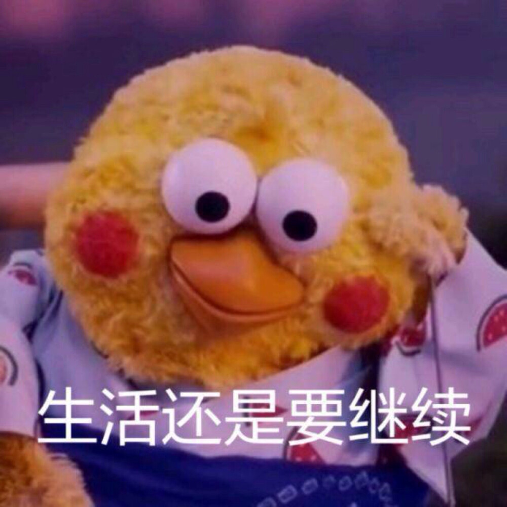 表情包 狗命要紧