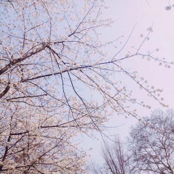 背景图 清新 夏日