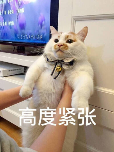 卖萌