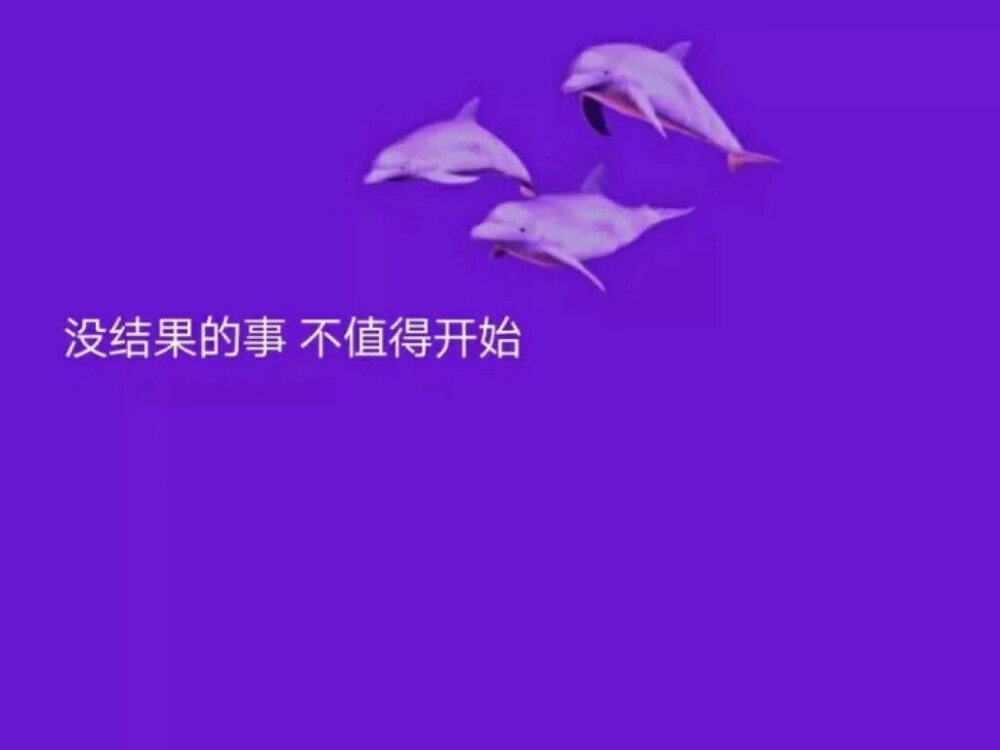 紫色壁纸@一个默默收集图片的小可爱