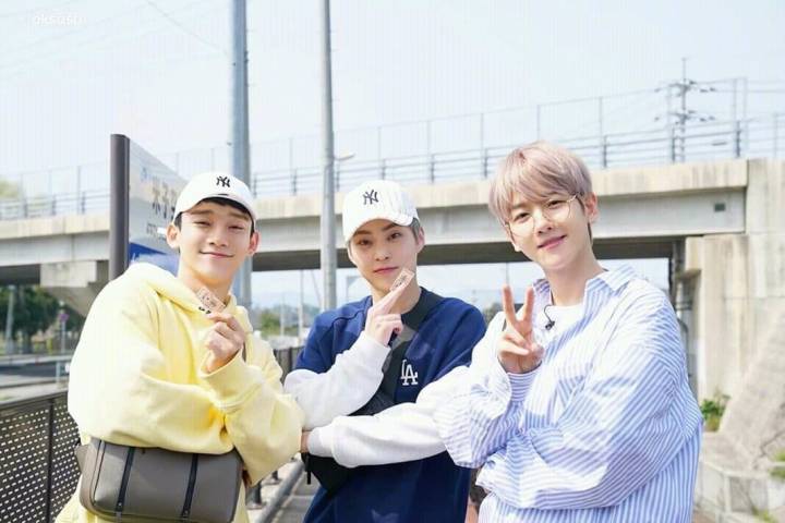  EXO-CBX