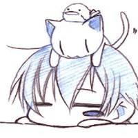 就这样了