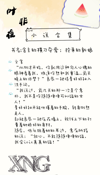 仙女阁7.12叶非夜小说合集