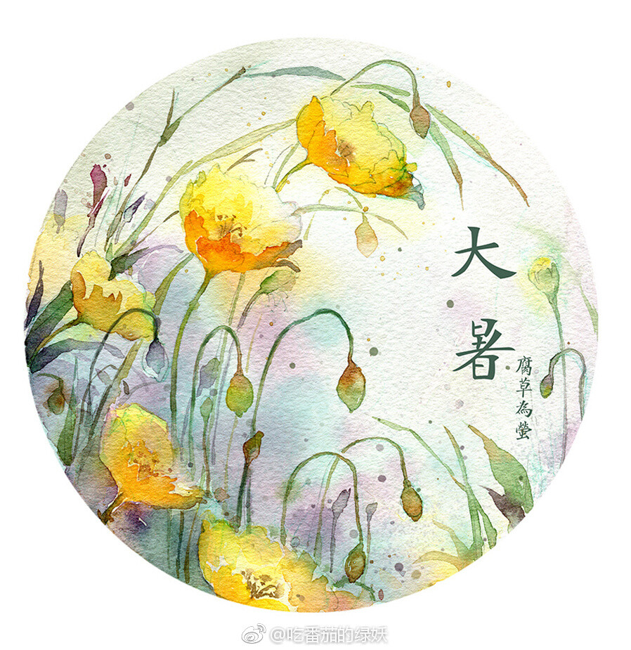 【一组漂亮的水彩花卉】喜欢在隆冬来临的季节描绘心中的百花盛开~#手绘作品#（作者： 吃番茄的绿妖 ） ​（转）via @水彩达人 ​