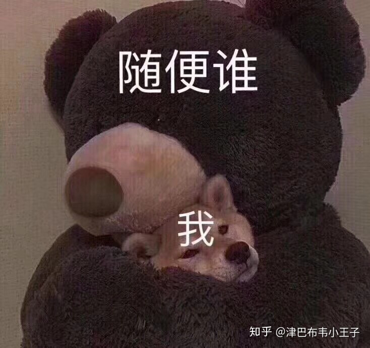 第三轮