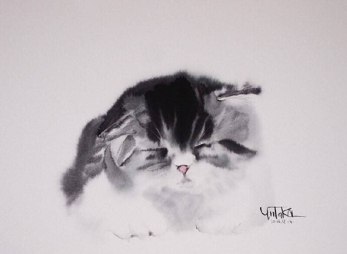 猫咪的写意画︱Yutaka Murakami ​