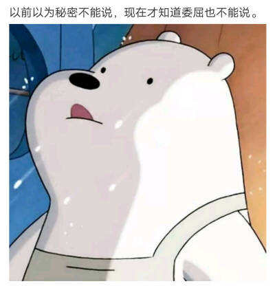 三只熊