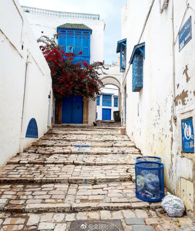 好想去突尼斯的SIDI BOU SAID,就这样坐在蓝白小镇的阶梯上，是不是就很浪漫了？ ​