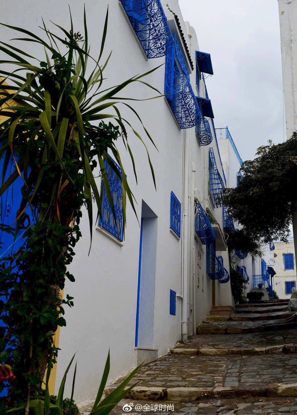 好想去突尼斯的SIDI BOU SAID,就这样坐在蓝白小镇的阶梯上，是不是就很浪漫了？ ​