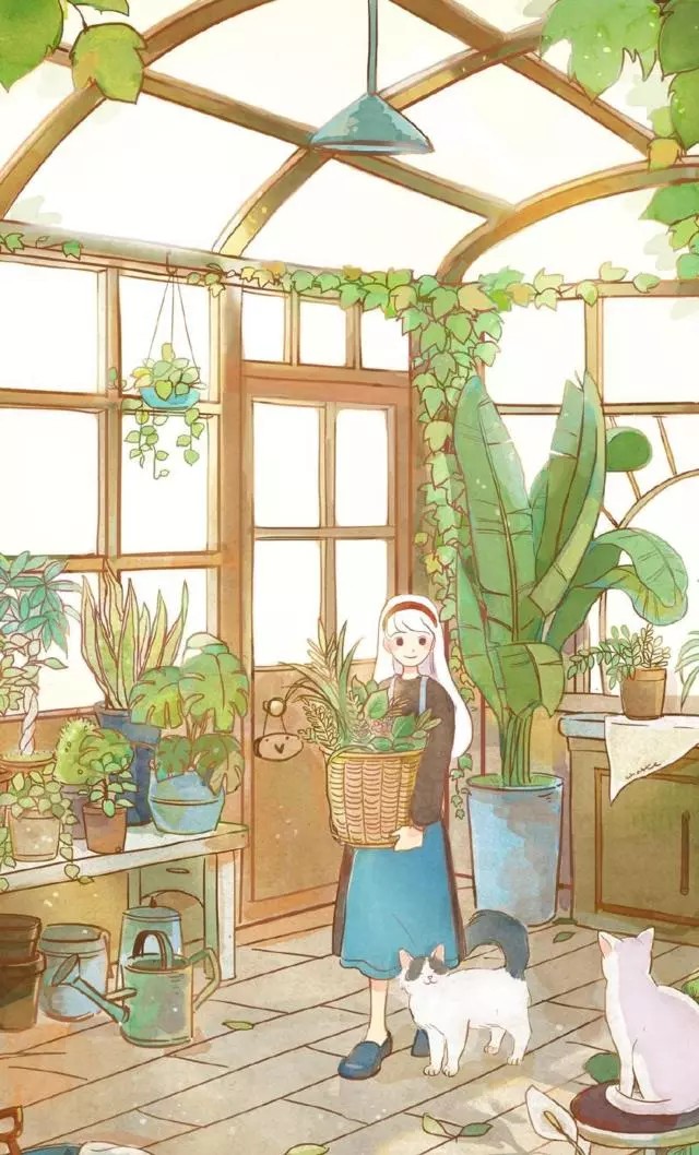 小清新 壁纸 动漫