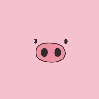 猪头像 表情包
