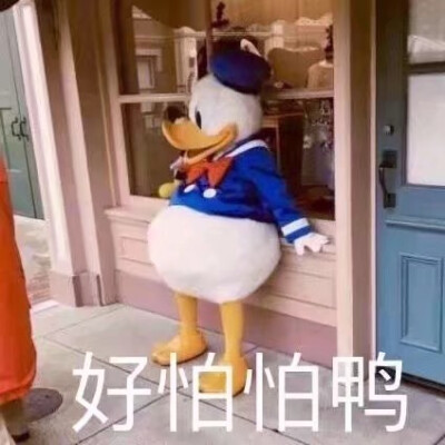 哈哈哈