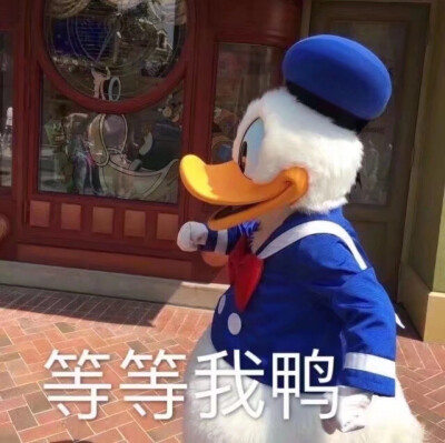 哈哈冲鸭