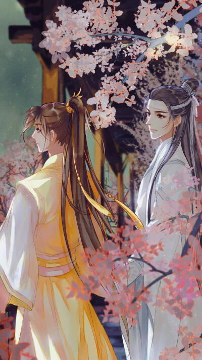 魔道祖师 蓝湛 魏无羡 兔子 wifi汪叽