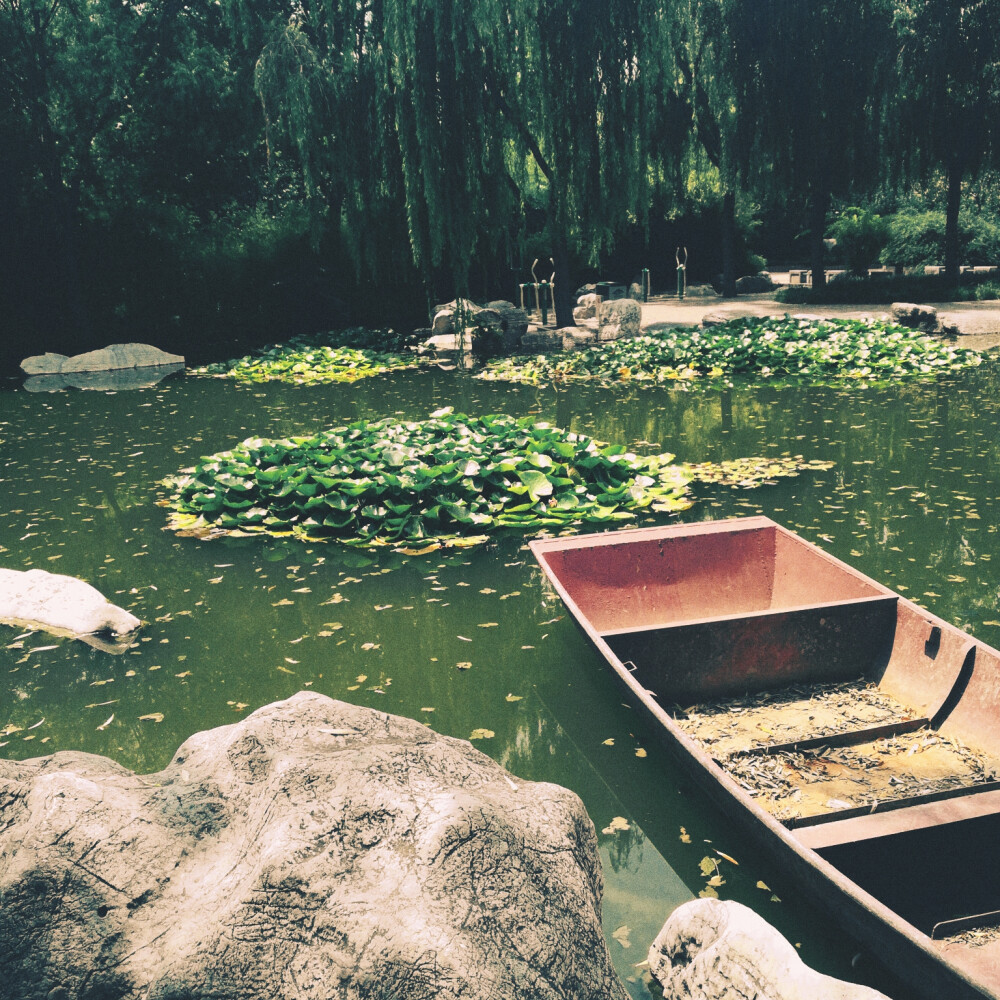 东湖风景
感觉匮乏古诗的脑袋很头大
这样的景致现代诗总是无法描述的吧♡
但夏天总是给人很多惊喜啊
胖胖的鸽子，总可以轻易地拥有夏天
而我只能远远观望