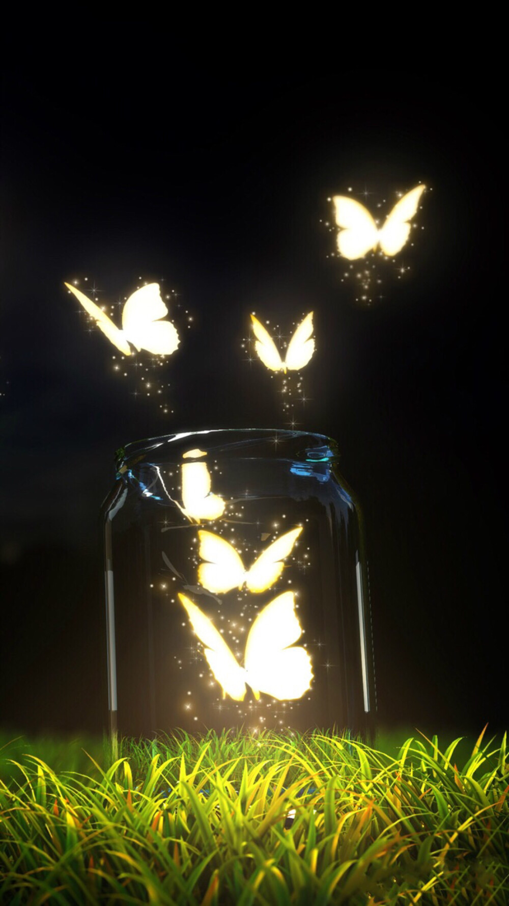 夜蝴蝶
