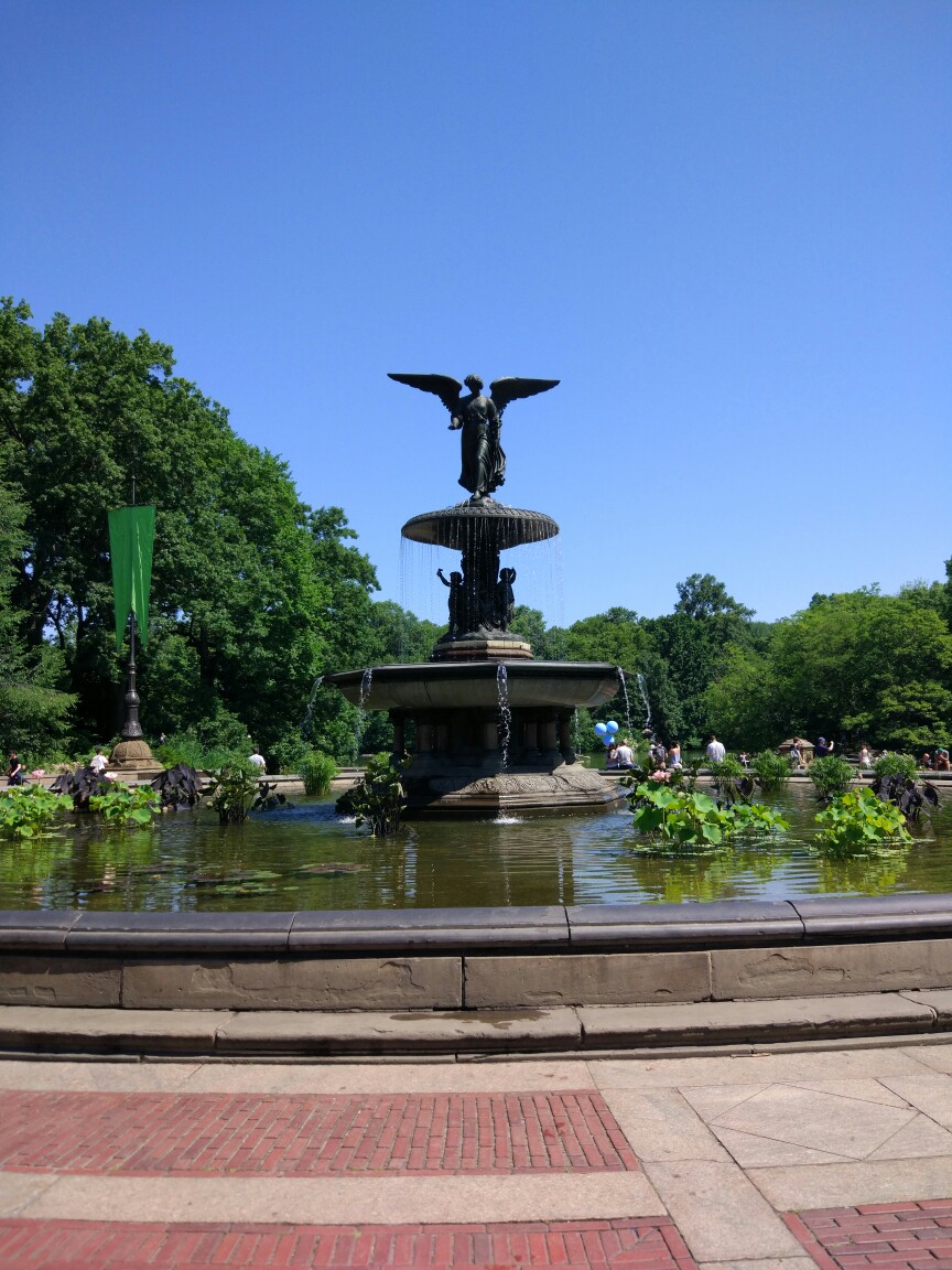 central park的喷泉，好像是个景点。本来蘑菇在带路，要去找草莓地，转了一圈越转越不对，感觉都要出公园了( •̀∀•́ )
然后我果断掌权，带着蘑菇找路。结果草莓地没找到，找到了喷泉。emmm，让我想起了，老虎不在家，打到小松鼠。