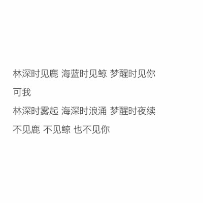 不见鹿 不见鲸
也不见你
