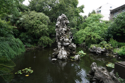 苏园，远行有雨️，故园情深旧物，草木绿彩家族