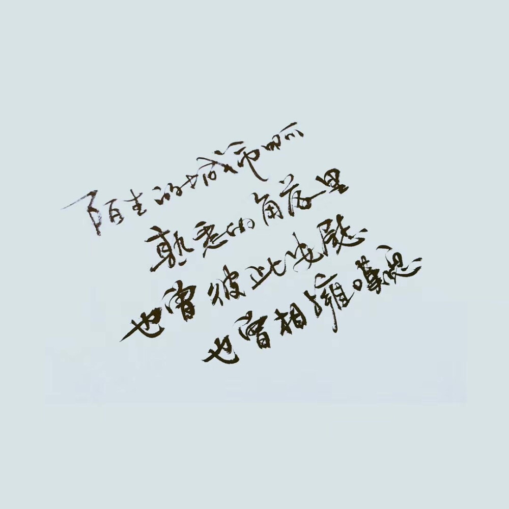 陌生的城市啊熟悉的角落里
也曾彼此安慰也曾相拥叹息
不管将要面对什么样的结局