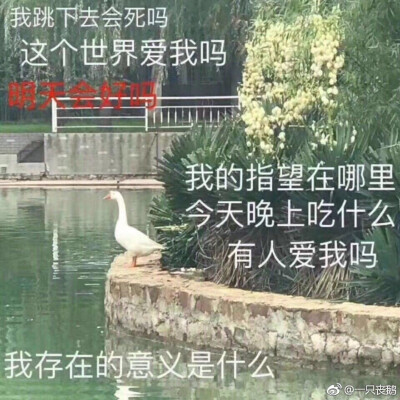 表情包