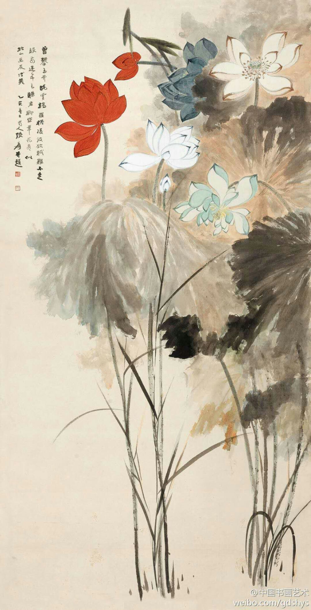 水墨 天鹅 水乡 江南 雏菊