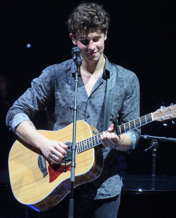 Shawn Mendes