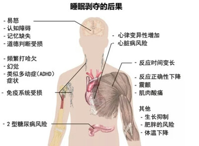 睡眠剥夺的后果