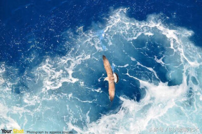 海鸥 飞过海面 摄影:aggelos zoupas