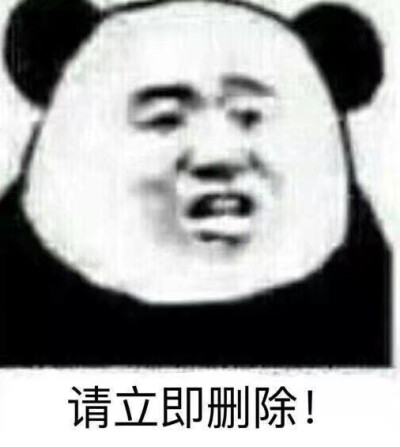 哇哈哈哈哈哈 熊猫包来了