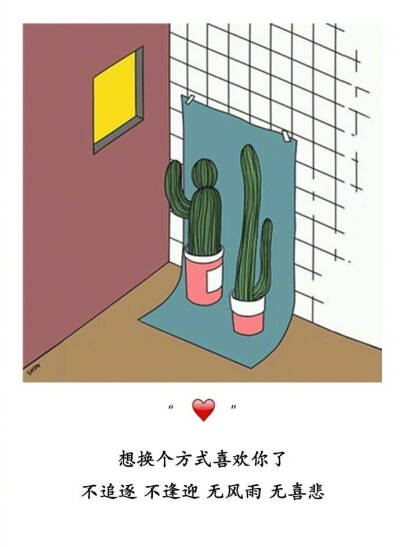 顽皮豹