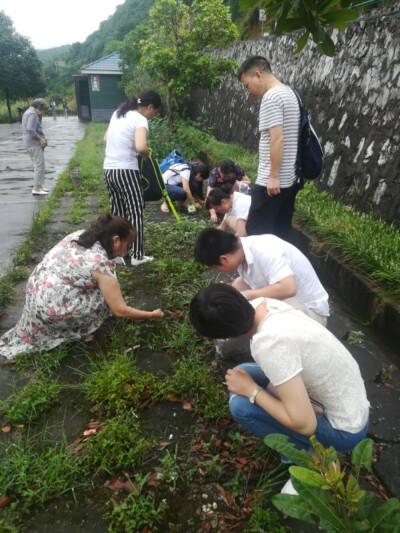 野趣捡菌