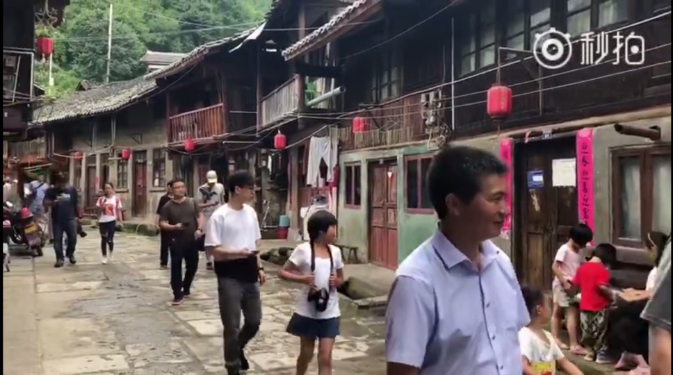 自然风物
『王昱珩女儿王一雯』