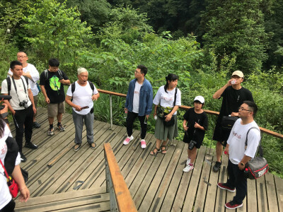 自然风物
『王昱珩女儿王一雯』