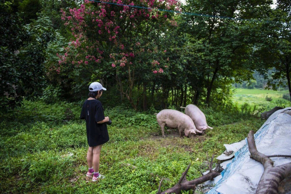 自然风物
『王昱珩女儿王一雯』