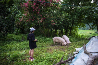 自然风物
『王昱珩女儿王一雯』