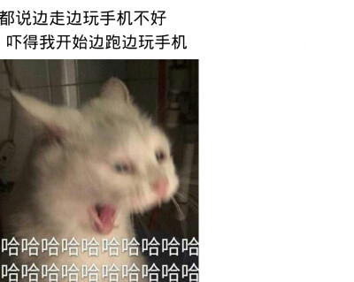 你是我最牵挂的猪啊