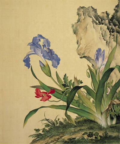 《仙萼长春图册》 ​​​​郎世宁