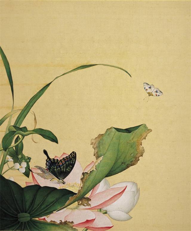 《仙萼长春图册》 ​​​​郎世宁