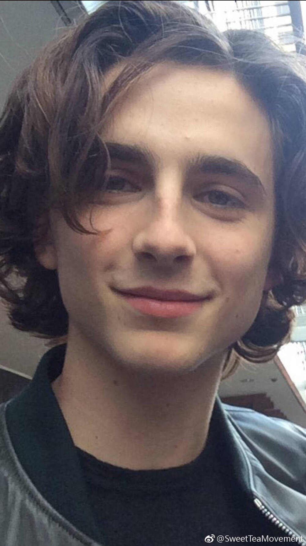 提莫西·查拉梅Timothée Chalamet（甜茶）