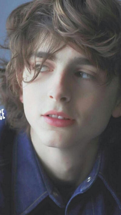 甜茶timothee❤