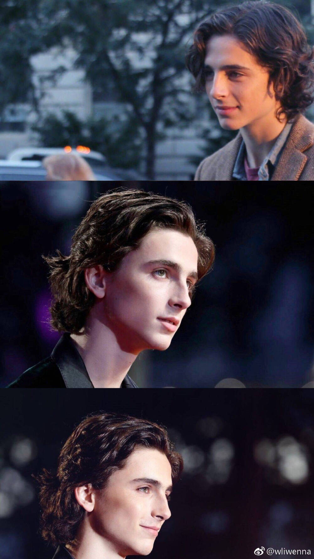 甜茶timothee❤