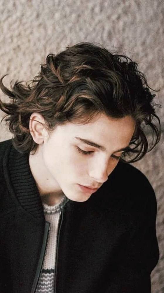 甜茶timothee❤