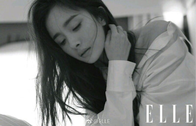 杨幂_elle