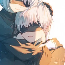 尼尔 9s