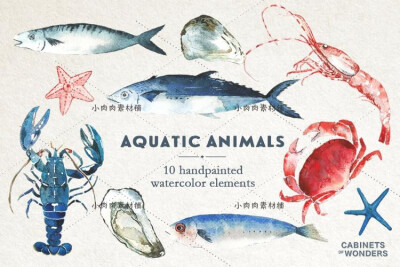 可爱卡通深海洋生物动物鱼类虾蟹钓鱼儿童插画图片设计素材PNG332