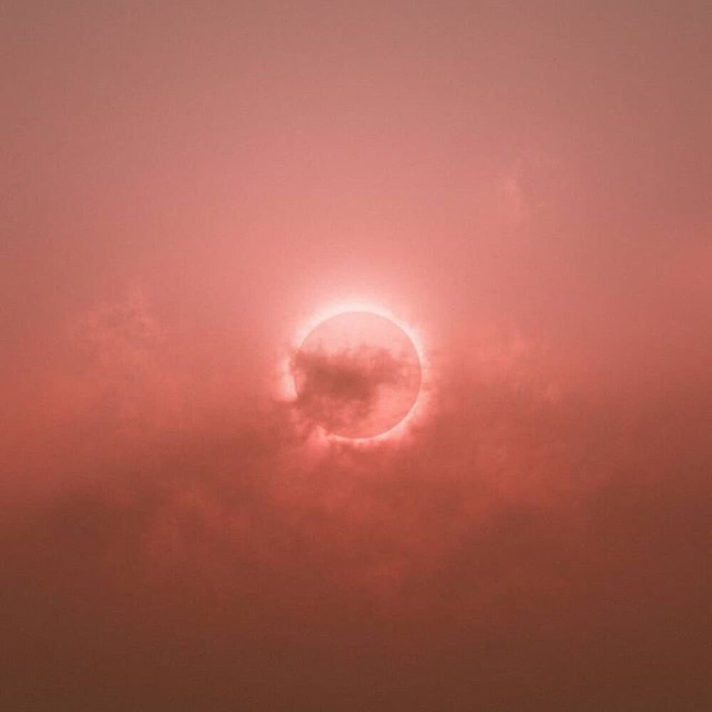 宸疚/乐清 粉色 背景图