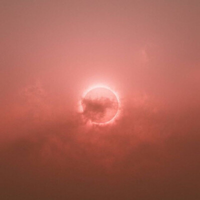 宸疚/乐清 粉色 背景图