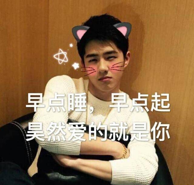 表情包刘昊然